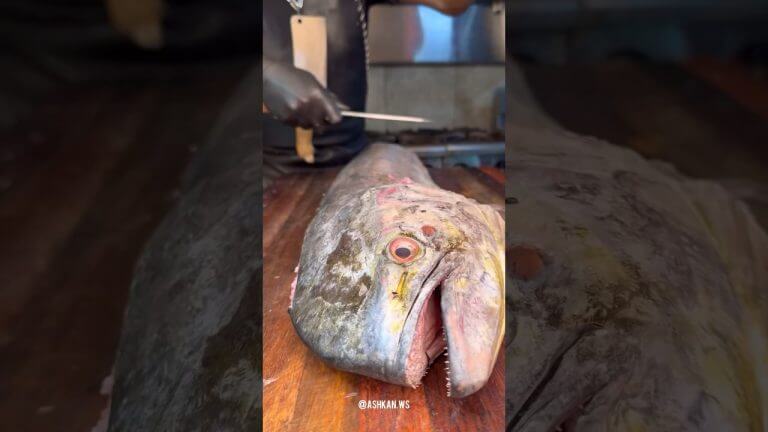 ‏Southern Special:dolphin fish with rices 🐬#fish #seafood #sea #fishing #foodlovers #fishcooking