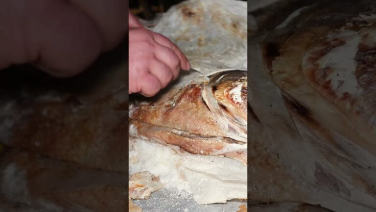 Fresh and Juicy Fish – Amazingly Delicious Recipe From Chef Kanan