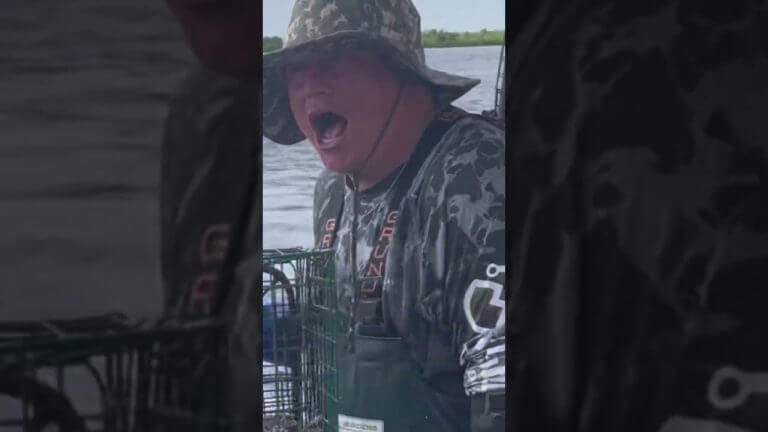 I would too🦀 #crabbing #seafood #fishing #outdoors #crabseason #boating #seafoodrecipes #seafoods