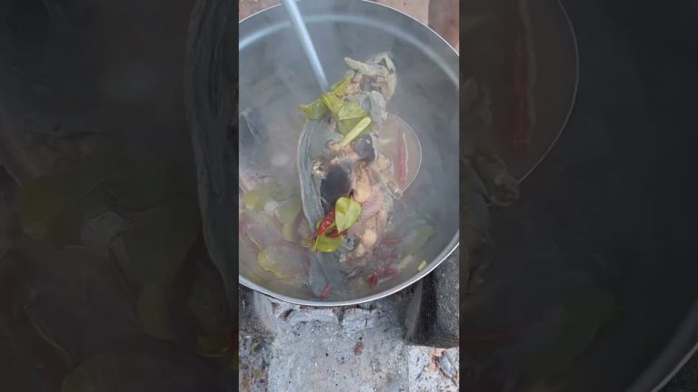 ปลาดุกต้มหม้อปลาร้า