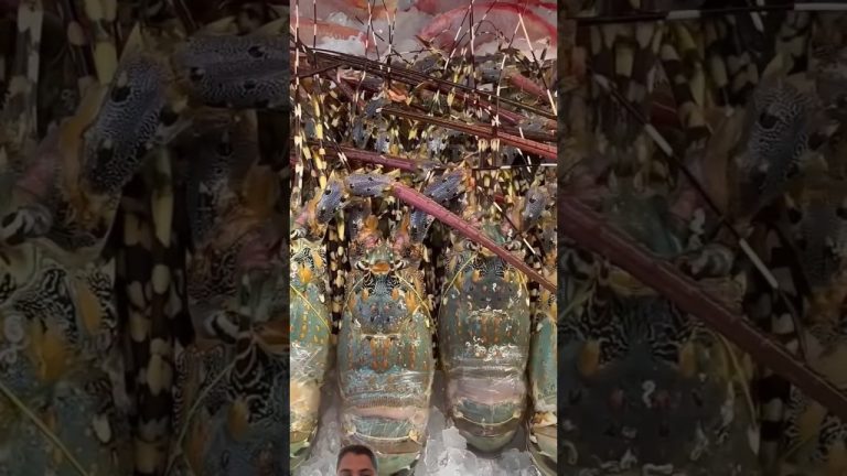 #lobster #streetfood #seafoodmarket #seafood #thaistreetfood #lobstertail #giantlobster #food #fish