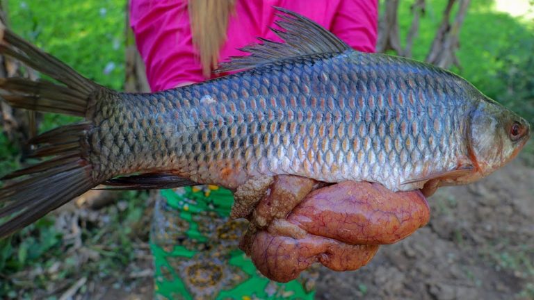FISH RECIPES – Cooking Tasty Braised Fish With Pineapple Recipe