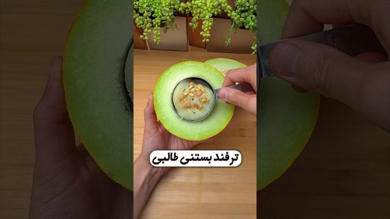 ترفند بستنی طالبی 🤌😋