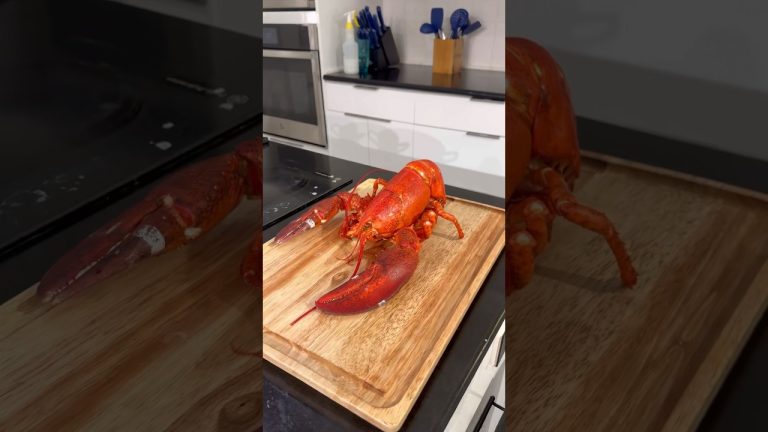 Perfectly Steamed Maine Lobster