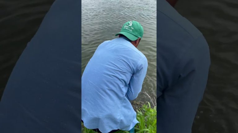 #foodcooking #cooking #food #foryou #recipes #fish