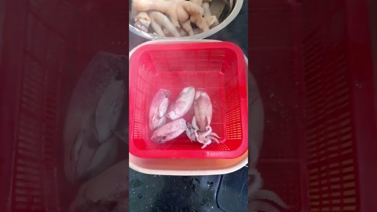 squid #squid sq #fo#squidfish #seafoodrecipes