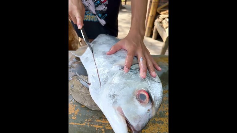 Have you ever seen fish.?  #food #cooking   #shorts  #eating  #recipe  #delicious