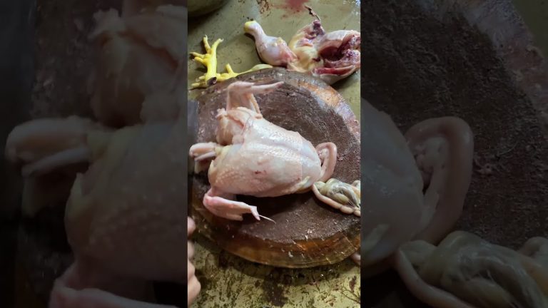 Potong daging ayam 11 bagian #ayam #makanayam #dagingayam #ayamsegar #short