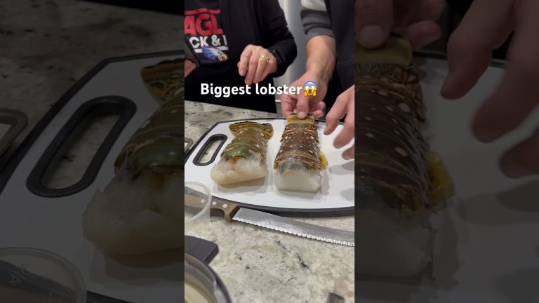 The biggest lobster i ever eaten 😱🤤😋#lobster #dinnerideas #seafoodlover