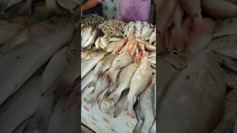 மீன் மார்க்கெட்# சண்டே ஸ்பெஷல்#food #shortsfeed #seafoodrecipes #shortsvideo