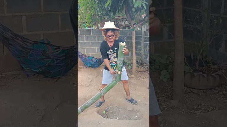 แซ่บอีหลี #ปลาไหล