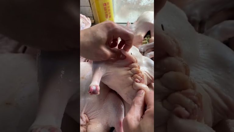 Cooking the whole duck recipe #groundfoodies #shorts #cooking