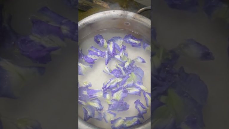 Pork biriyani | #wildsoul