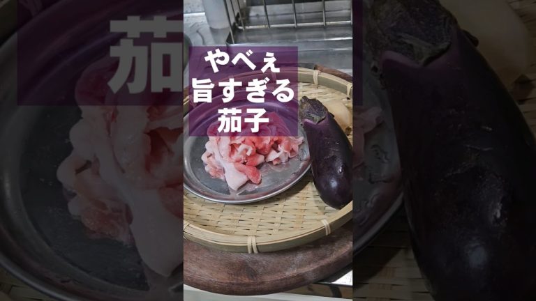 とろ旨！茄子と豚こま！簡単すっげえぇぇ旨すぎる丼レシピ