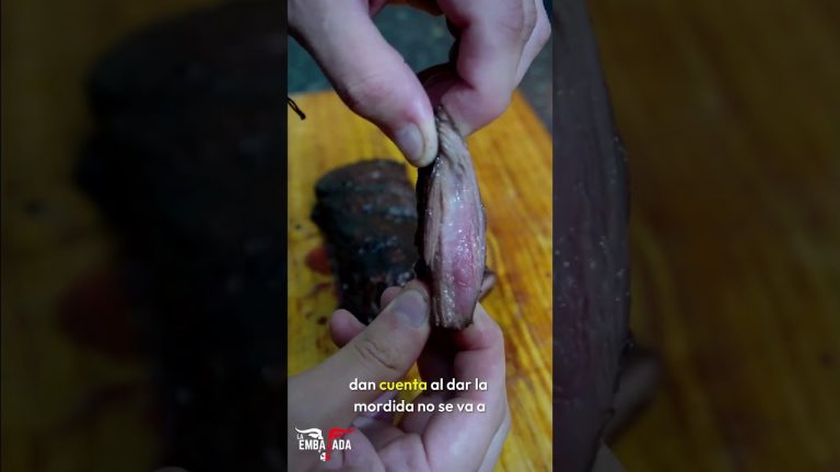 LOS SECRETOS DE LA ENTRAÑA 🔥#shorts