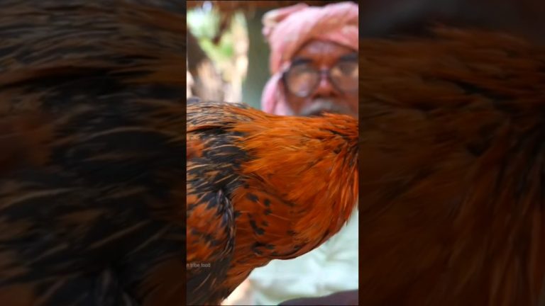 HANDI CHICKEN RECIPE | very tasty chicken recipe using watermelon tube by our grandfather |