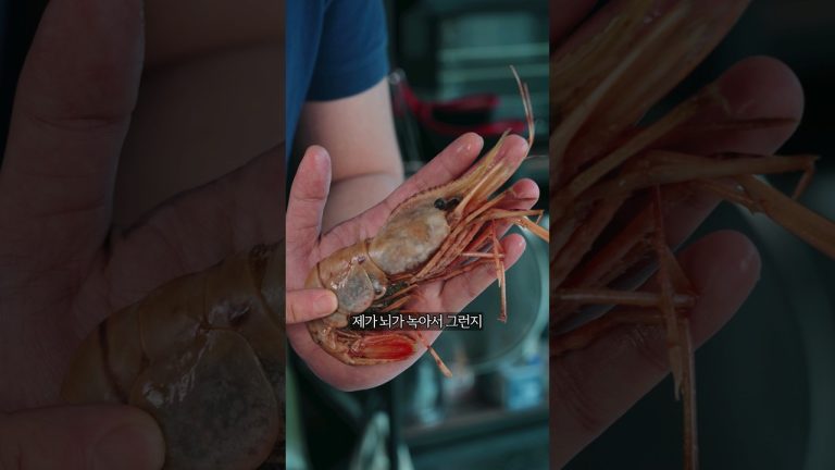초대형 도화 새우를 반값에 먹는 방법