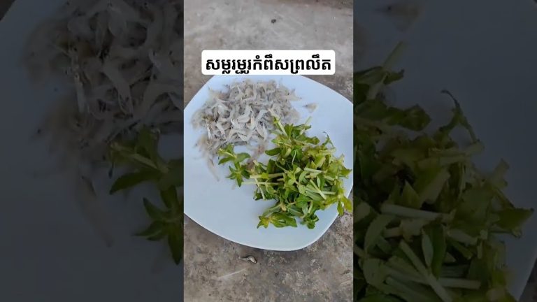 តោះកំពឹសម្ហូរព្រលិត#seafood #food #food #cookingseafood #thaifood #seafoodrecipes #fish #chicken