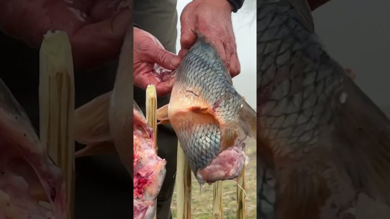 Super Delicious Fish Recipe – Fry Special on a Branch in the Wilderness