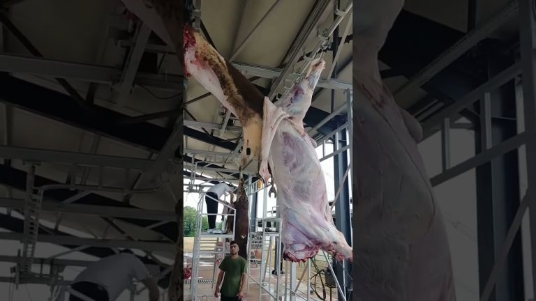 #steak #seafood #steak #food #meat #steaktips #shortvideo #steaklife #seafoodrecipes