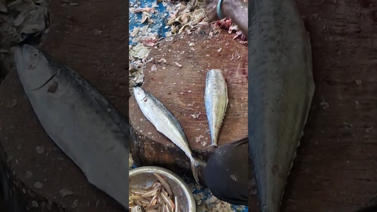 Vanjaram 🐟Cutting Fish😱 #fish #crabfry #crabrecipes #fishcutting #crabgravy #seafoodrecipes #seafood