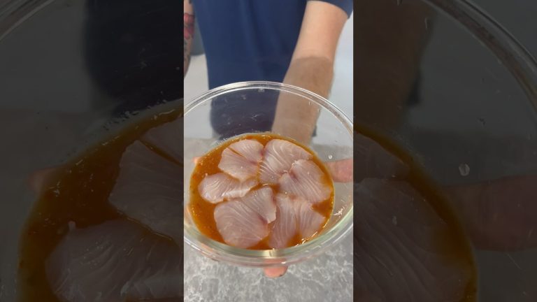 World Famous Fish Family