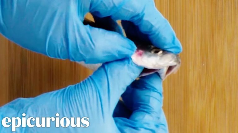 How To Fillet Sardines