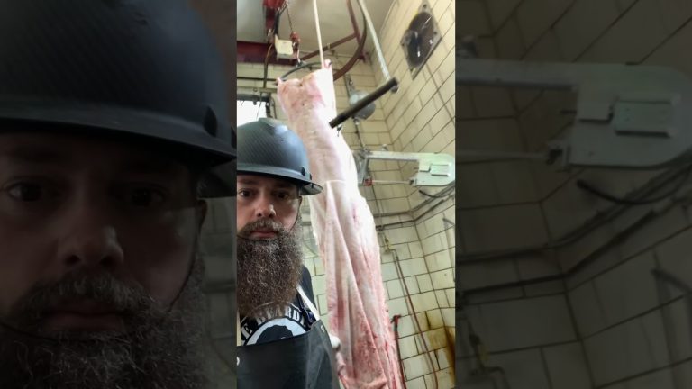 Butchering pigs 🔪🐖 #shorts #fyp #trending #viral #bbq #butchershop #food