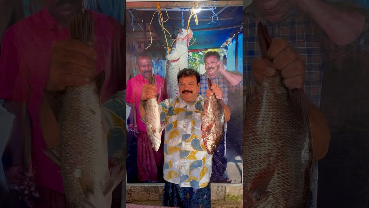 സമുദ്ര seafood live cooking😱 #shortsvideo #seafood #seafoodlover #fish #shortsviral