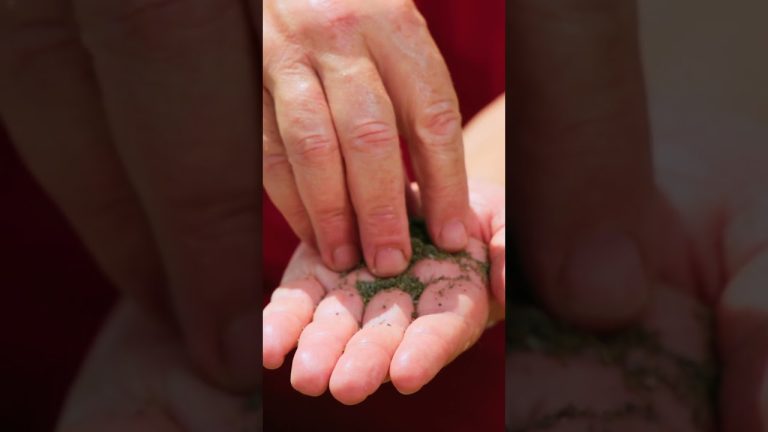 The Craziest Way to Season Your Steak – And It Works!