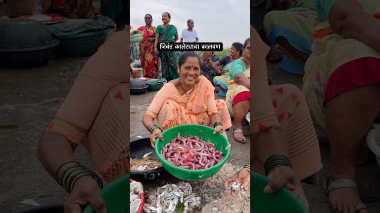 समुद्रात भेटणारी अनोखी मच्छी #koli #agrikoli #marathi #mumbai #fish #pomfret #prawns #seafood #viral