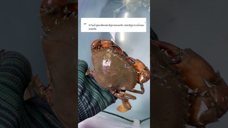 ปูอร่อยอยู่แล้วแต่มันอร่อยขึ้นได้อีก