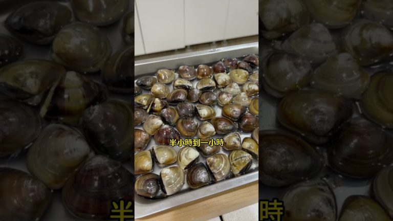 有蛤蠣的湯就是好好喝…蛤蠣清湯