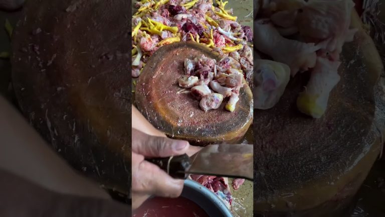 Potong daging ayam jadi banyak #ayam #dagingayam #makanayam #chicken #ayampedaging #ayamsegar #short