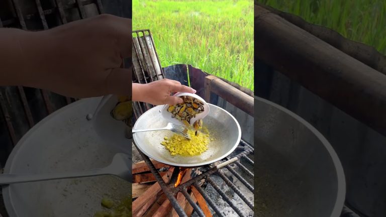 Golden-brown shells with quick-melted cheese #fypシ゚viral #viral #nature