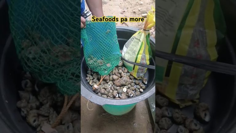 Seafoods overload #shorts2024 #simplengideya #catchoftheday #seafood #freshfromthesea
