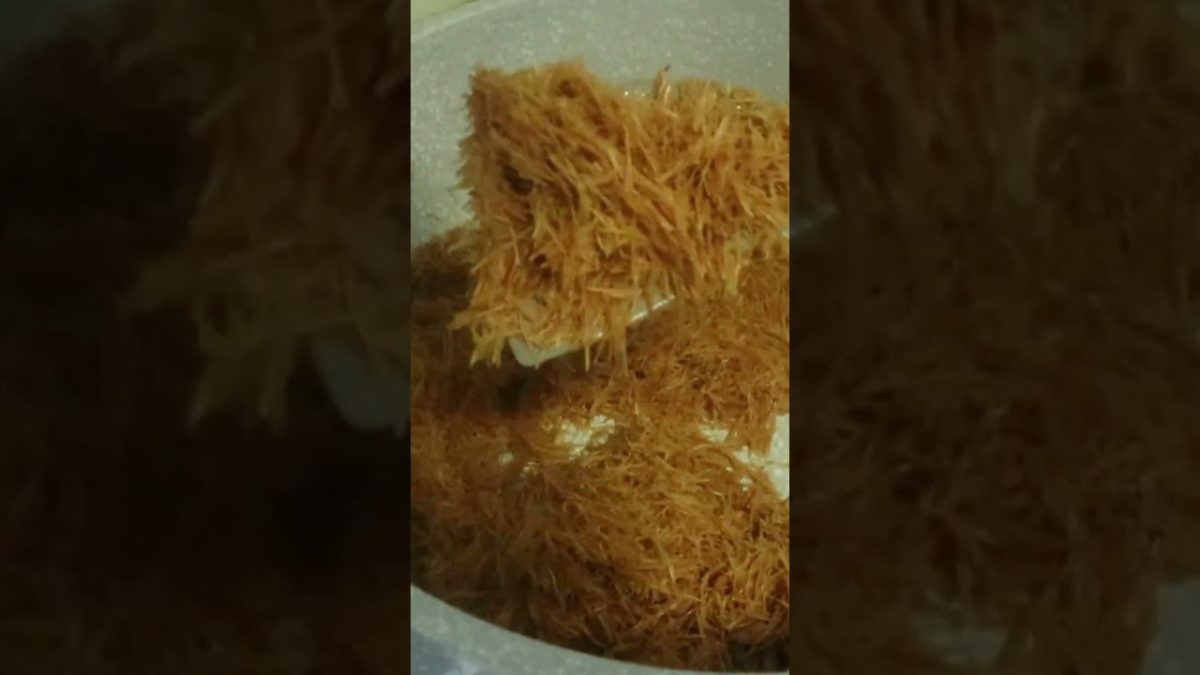 #kimamisewai #youtubeshorts #food