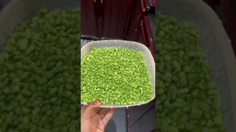 Caption illatha oru video😌|sumeez#shorts#vlog#fish#trending#love#cooking#variety#tasty