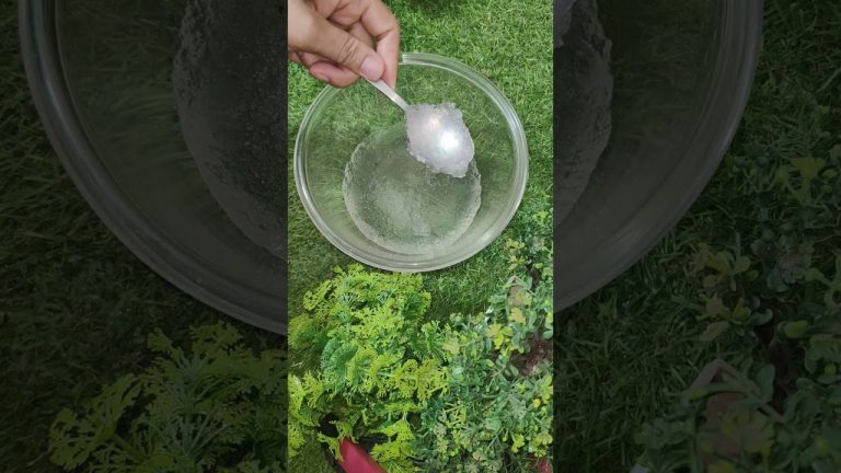 healthy smoothie recipe.#sangeetarawat2309 #delicious #youtube #shorts