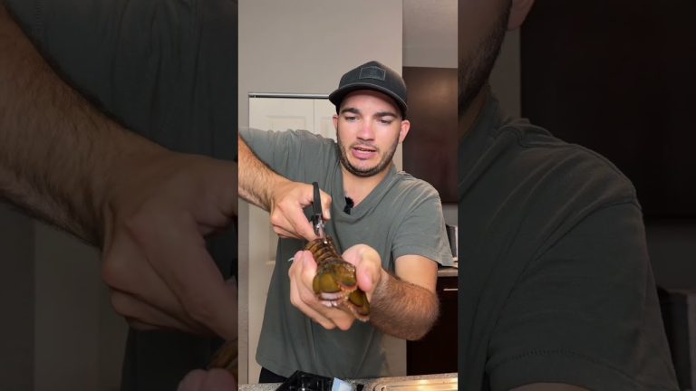 5$ Lobster “Surf and Turf”😳🦞 #trending #foodie #seafood #chopelasreviews #cooking #foodvlog