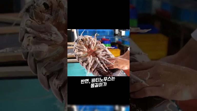 한국인들이 해외여행 가서 깜짝 놀라는 길거리 음식 TOP 1