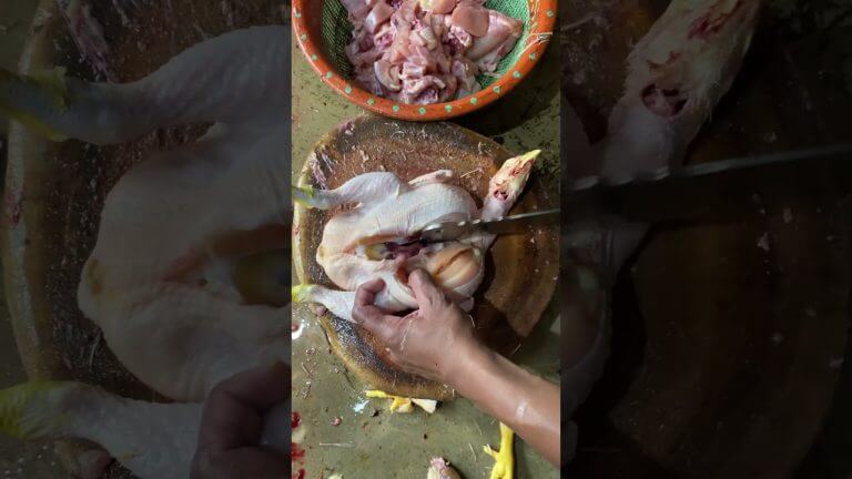 #ayamsegar #dagingayam #ayam #chicken #ayamsegar #ayampedaging #potongayam #short