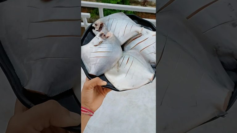 पापलेट फ्राय रेसिपी [paplet fry] #papletfish #koli #recipe #foodie #seafood 🐟🙌