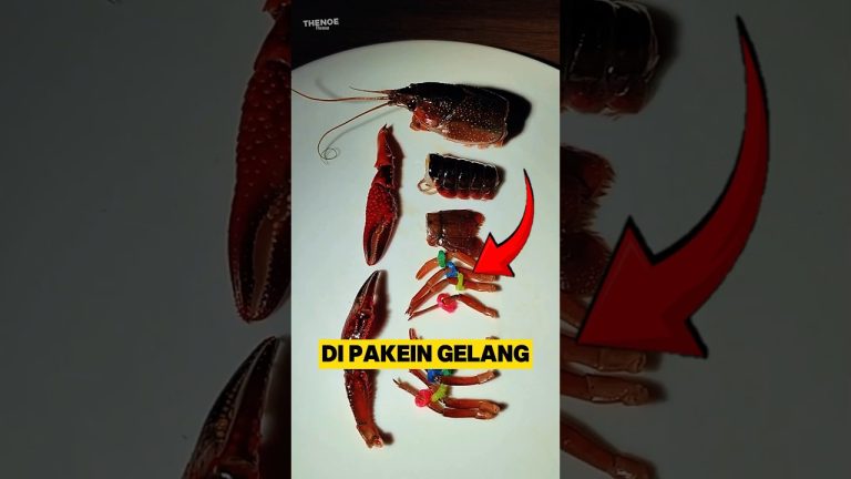 Cara Memasak Versi Gabut #shorts