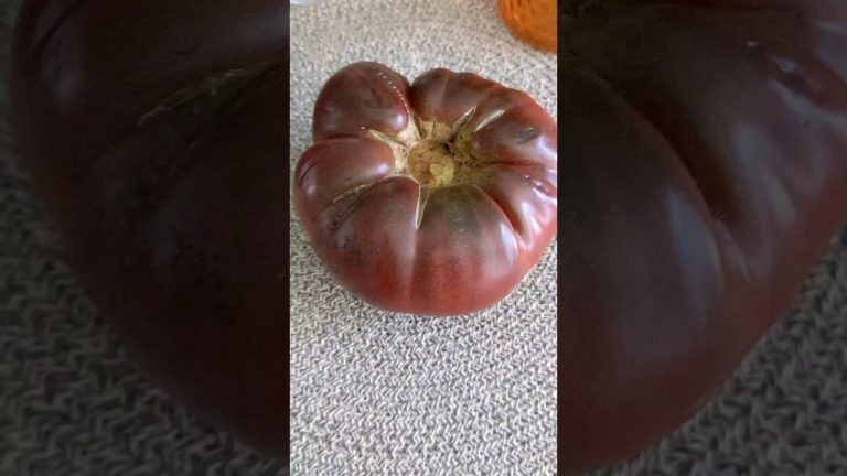 Smoothie for radiant SKIN 😋 Try this simple recipe 🥤