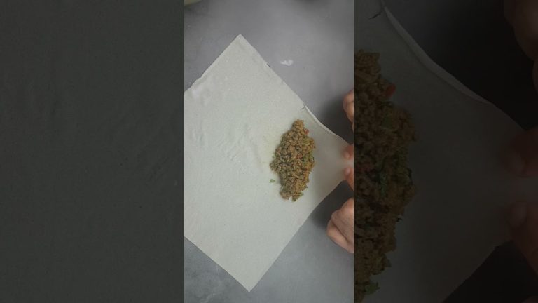 How to Fold and Wrap Spring Rolls | #short @cookwithaqib