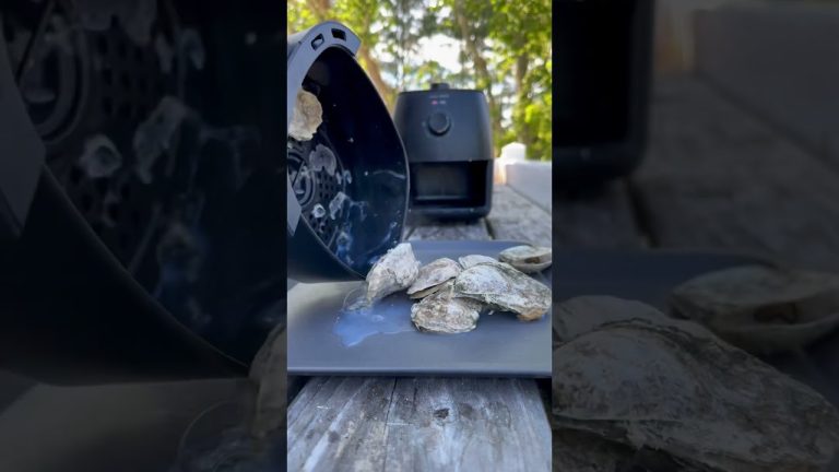 Air Fried Oysters? #oysters #seafood #airfryer