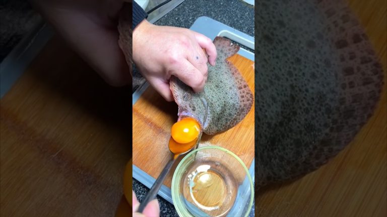 Fish Fry Recipe #recipe #fish #fry #shanrup #egg