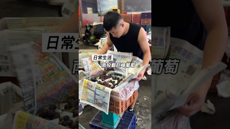 今天來南投載巨峰葡萄都是現摘 然後再帶回去潮州做巨峰葡萄冰棒 希望大家快消暑#巨峰葡萄 #葡萄 #冰棒 #雪花冰 #冰