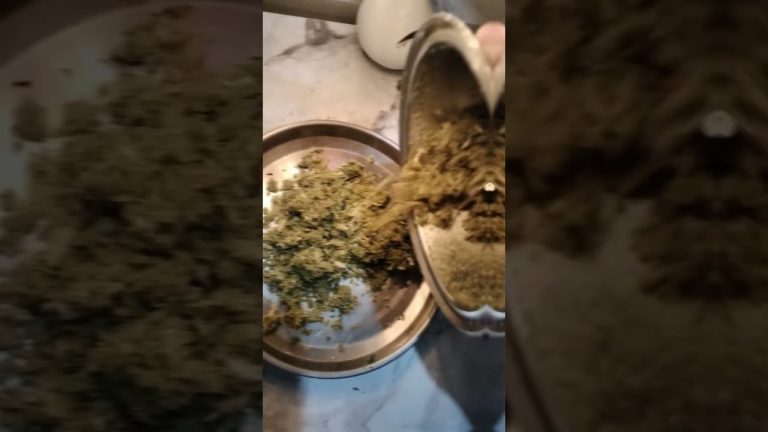 बोंबला ची चटणी  😋#shortsviral #shortvideo #shorts #seafood #agrikoli #shots #recipe #subscribe #fish